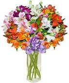Alstroemeria with Vase