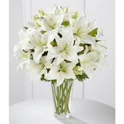 White Flowers Delivered In The Us And Canada 1st Charming