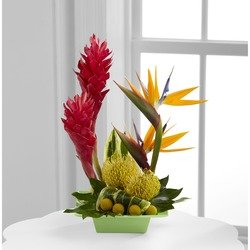 Buds And Blooms Kent Covington Florist Flowers Img