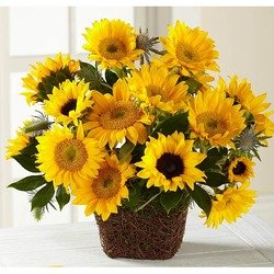 Flowers Delivery Los Angeles Same Day Ideas Office Peace Lily Delivery Los Angeles Ca Same Day