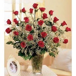 Two Dozen Roses Arranged with Babys Breath