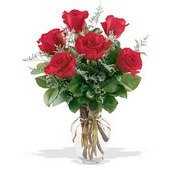 Half Dozen Roses Arranged