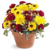 The Autumn Glory Bouquet