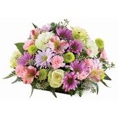 The  Naturally Nice Arrangement