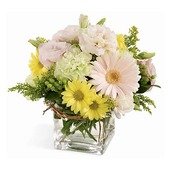 Floral Festival Bouquet