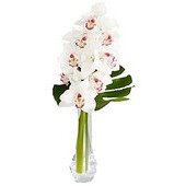 Charismatic Luxury Orchid Bouquet