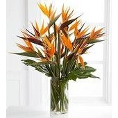 Enticing Luxury Bouquet