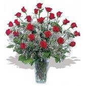 Two Dozen Roses Arranged with Babys Breath