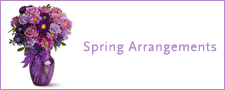 Spring Flowers