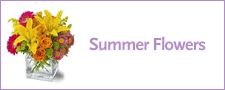 Summer Flowers