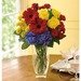 Here's to You by Teleflora