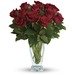 Rose Classique