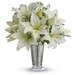 Written in the Stars by Teleflora