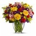 Brighten Your Day