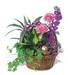 Garden Comforts