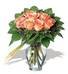 Perfectly Peachy Roses