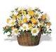 Joyful Roses and Daisies