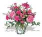 Cheerful Carnations