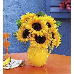 Sunny Day Pitcher of Sunflowers