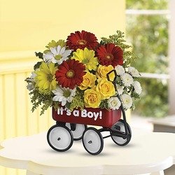 Baby's Wow Wagon by Teleflora - Boy