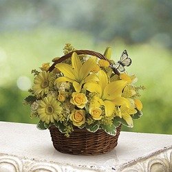Pasadena Florist Flower Delivery By Jacob Ma Florists Designers Choice Florist In Saint Paul Flower Delivery Stargazer Lilies Hydrangea And Roses A Textured