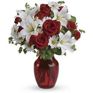 Congrats Flower Delivery In Los Angeles Flamingo 39 S The Aphrodite Dess Of Love In Los Angeles Ca Century City Flower Mart