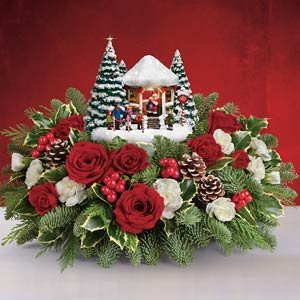 Flowers Plymouth Minnesota Ideas Tel Simply Elegant Spathiphyllum Starting At 42 95
