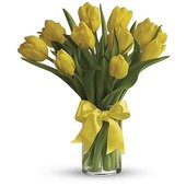 Sunny Yellow Tulips