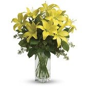Lily Sunshine