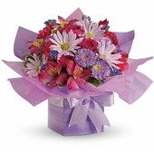 Lovely Lavender Present