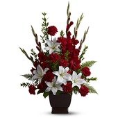 Tender Tribute