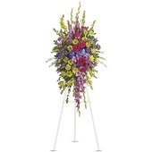 Bright and Beautiful Spray