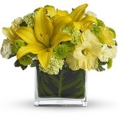 Oh Happy Day by Teleflora