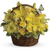 Basket Full of Wishes