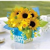 Sunny Birthday Present