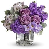 Sweet as Sugar by Teleflora