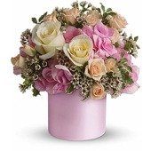 Blushing Beauty