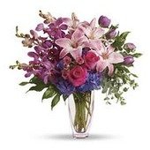 Purple Perfection