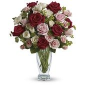 Cupid's Creation by Teleflora