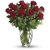 One Dozen Roses Arranged