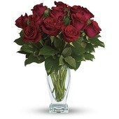 Rose Classique