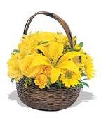 Get Better Basket