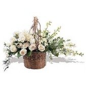 Basket of Light