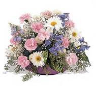 Pastel Dreams