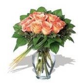 Perfectly Peachy Roses