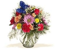 Butterfly and Blossoms Vase