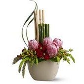 Zen Protea