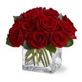 Dozen Rose Contempo