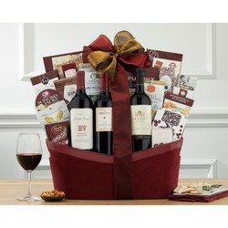 818 Cardinal Flower Drive Richmond Tx 77469 For Homes Com Napa And Sonoma Cabernet Trio