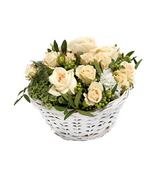 White Rose Garden